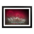 Test Pyronal 2026 - Schwarz